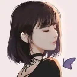 夜航西飞头像